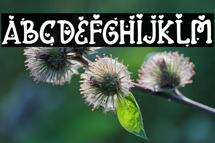 FontarianSweetHeart Example 2