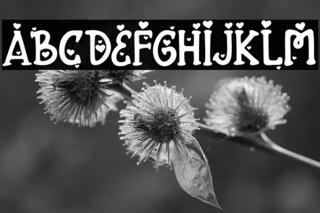 FontarianSweetHeart Font examples