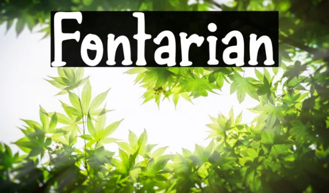 Fontarian Example 1