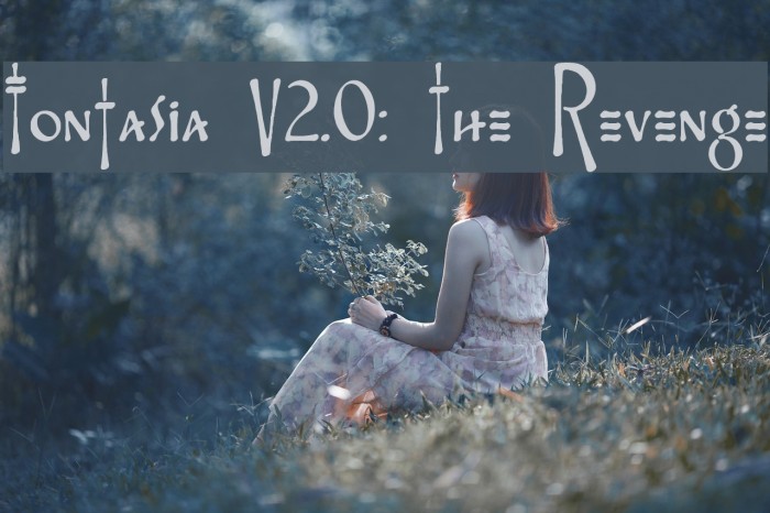 Fontasia V2.0: The Revenge Example 3