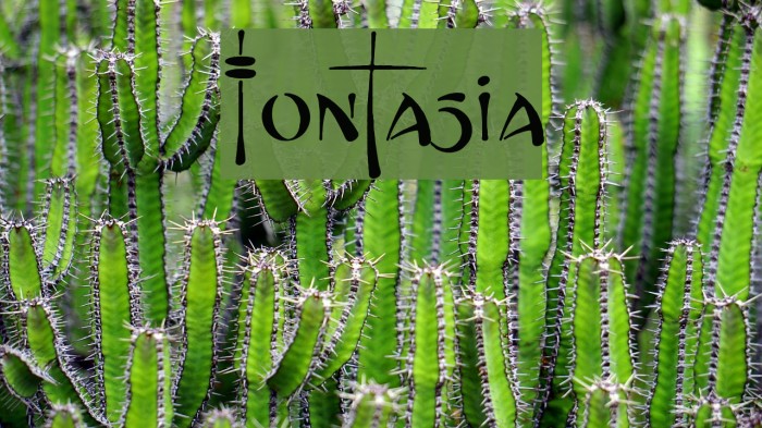 Fontasia Font examples