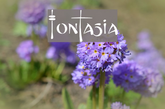 Fontasia Font examples
