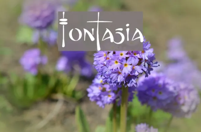 Fontasia Example 2