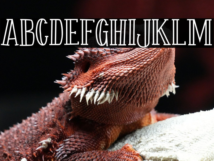 Fontastique Carved Example 1