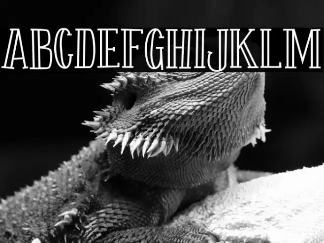 Fontastique Carved Font examples