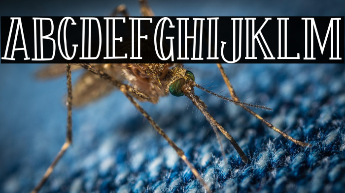 Fontastique Carved Example 2