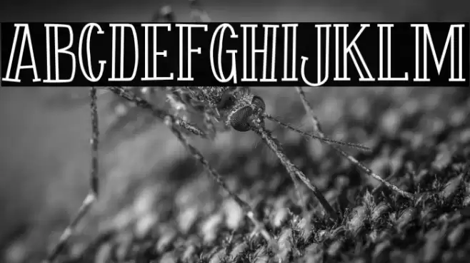 Fontastique Carved Font examples