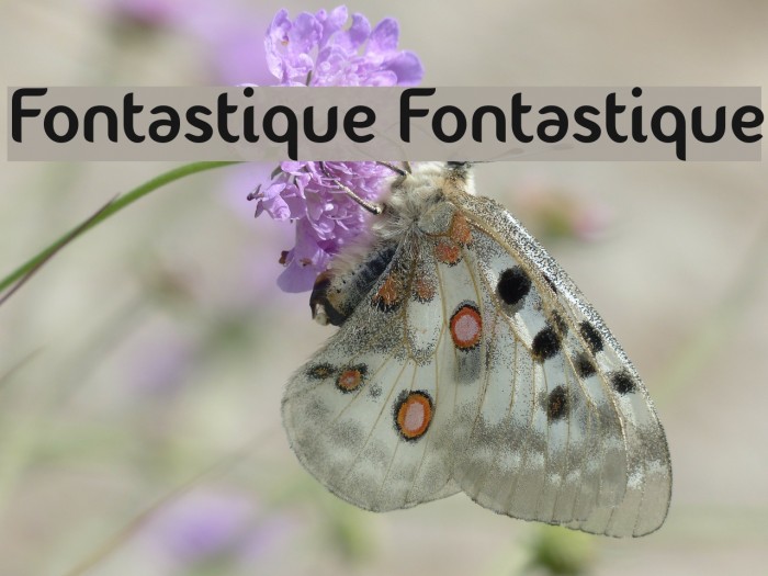 Fontastique Fontastique Font examples