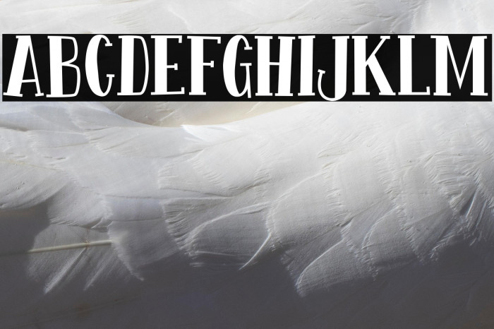 Fontastique Example 2