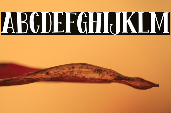 Fontastique Example 3