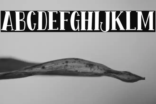 Fontastique Font examples