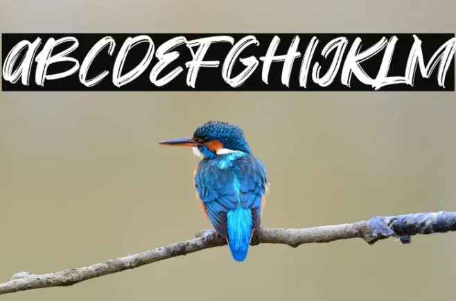 Fontbliz Example 1