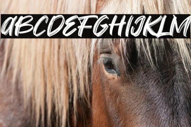 Fontbliz Example 2