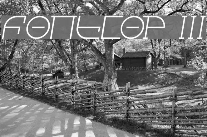 Fontcop III Font examples
