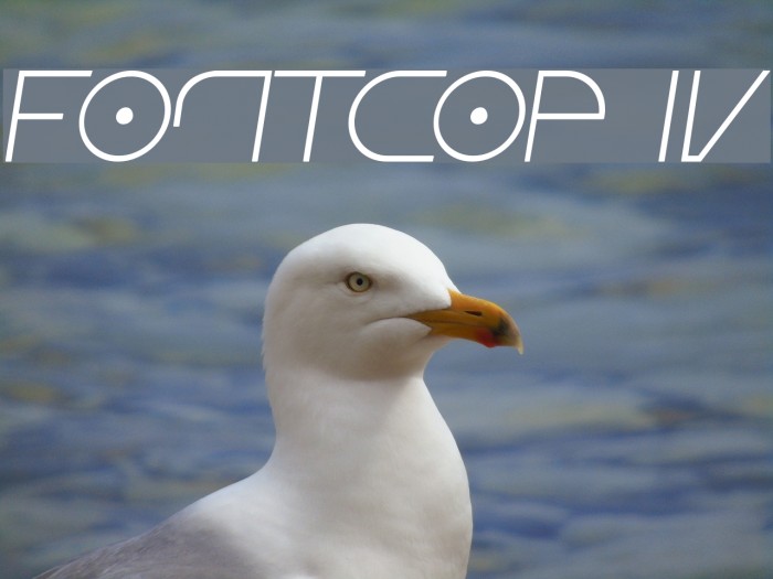 Fontcop IV Font examples