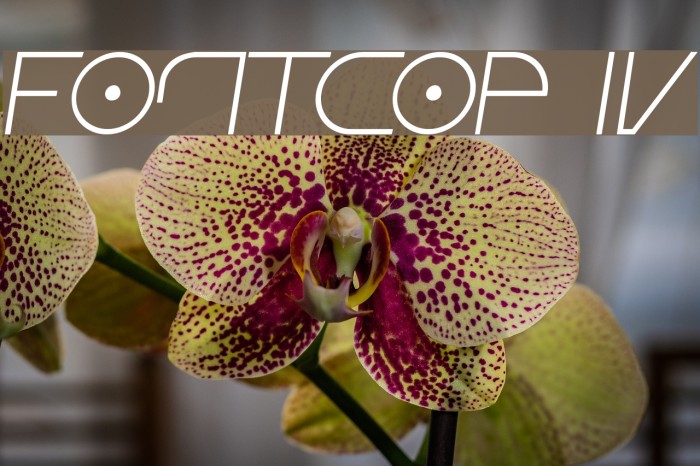 Fontcop IV Font examples