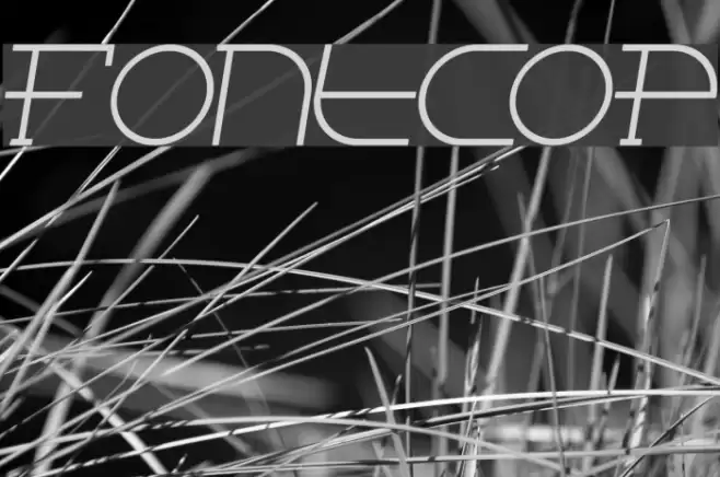 Fontcop Font examples