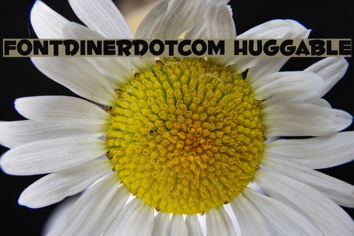 Fontdinerdotcom Huggable Font examples