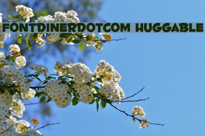 Fontdinerdotcom Huggable Font examples