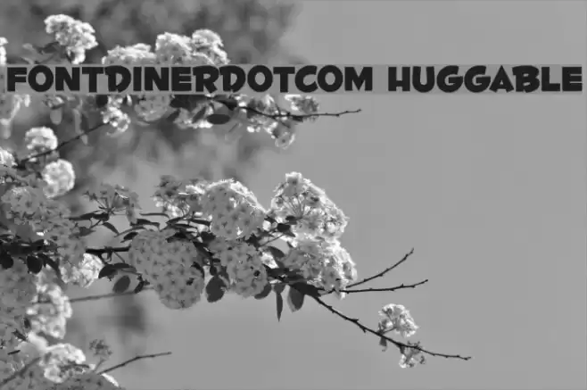 Fontdinerdotcom Huggable Шрифта examples