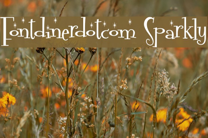 Fontdinerdotcom Sparkly Font examples
