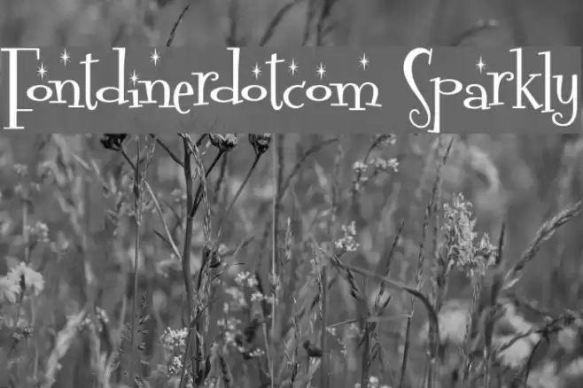Fontdinerdotcom Sparkly Schriftart examples