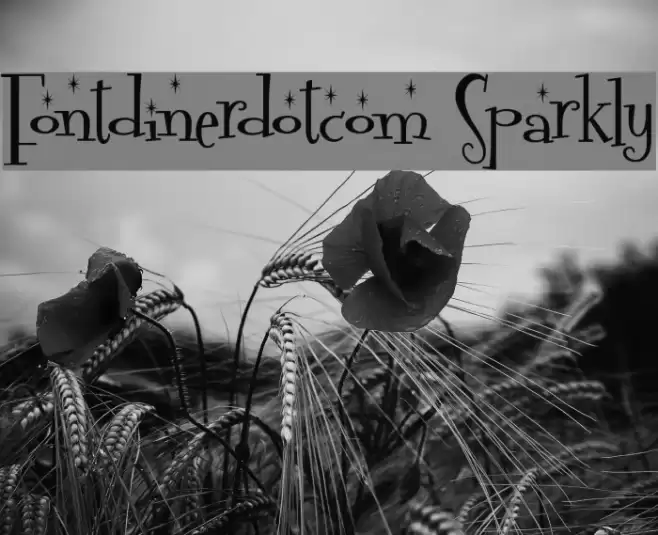Fontdinerdotcom Sparkly Schriftart examples