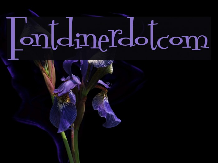 Fontdinerdotcom Schriftart examples