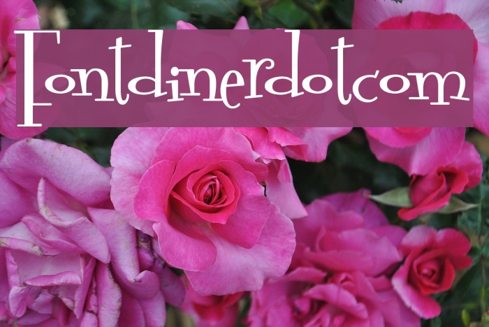 Fontdinerdotcom Schriftart examples