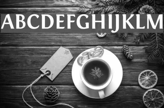 Fontin Bold Font examples