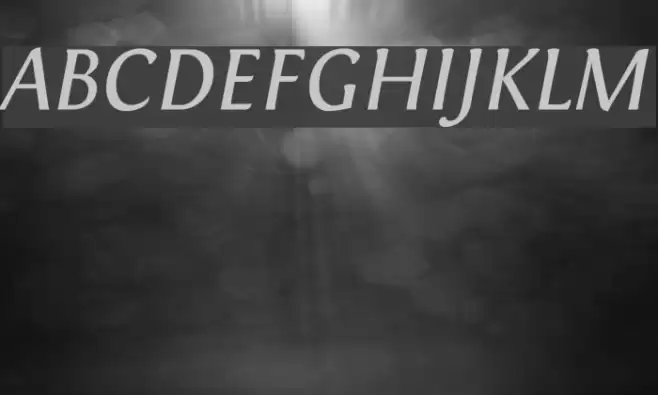 Fontin Italic Font examples