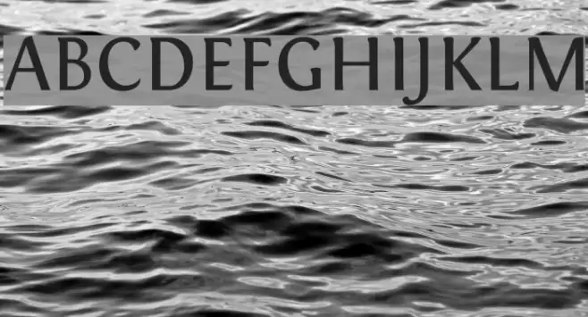 Fontin Regular Font examples