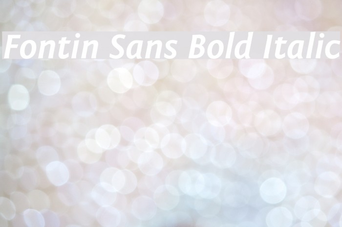 Fontin Sans Bold Italic Font examples