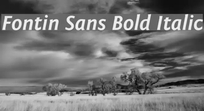 Fontin Sans Bold Italic Font examples