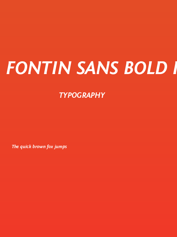 Fontin Sans Bold Italic Poster