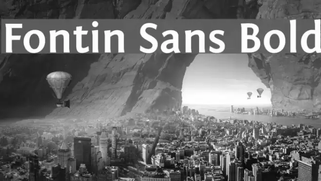 Fontin Sans Bold Font examples