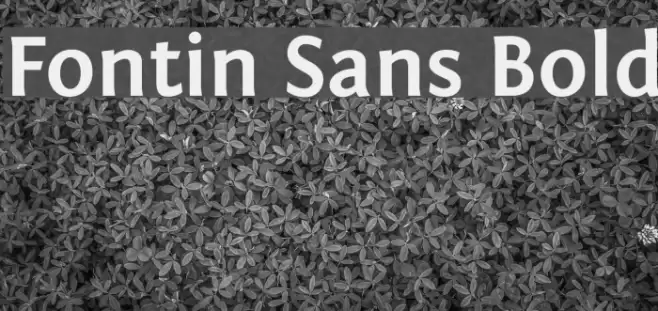 Fontin Sans Bold Font examples