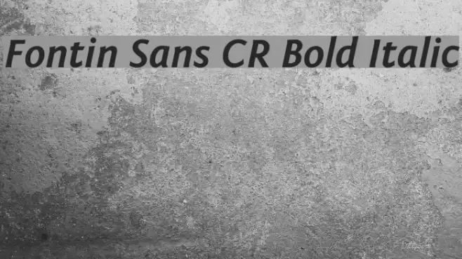 Fontin Sans CR Bold Italic Font examples
