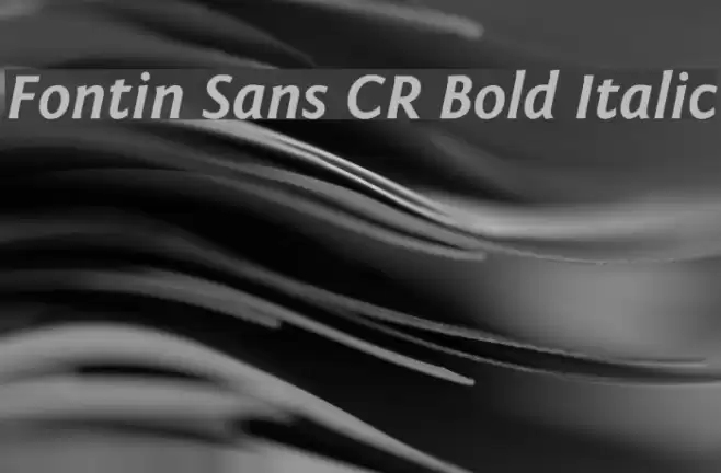 Fontin Sans CR Bold Italic Font examples