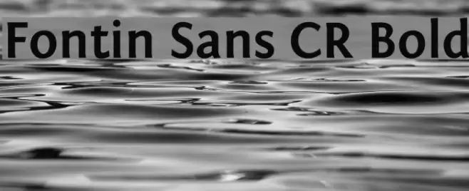 Fontin Sans CR Bold Font examples