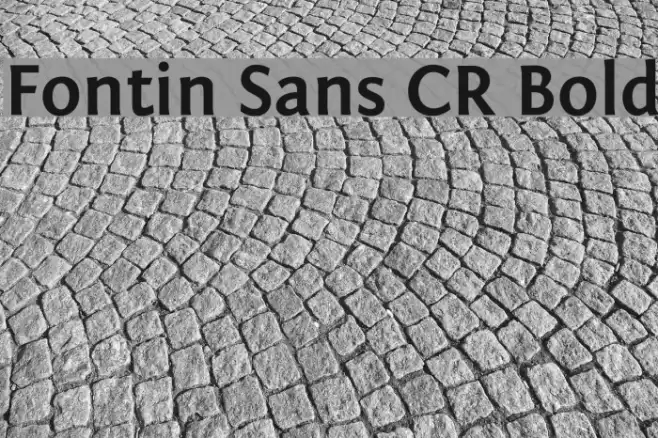 Fontin Sans CR Bold Font examples