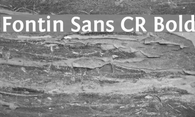 Fontin Sans CR Bold Font examples