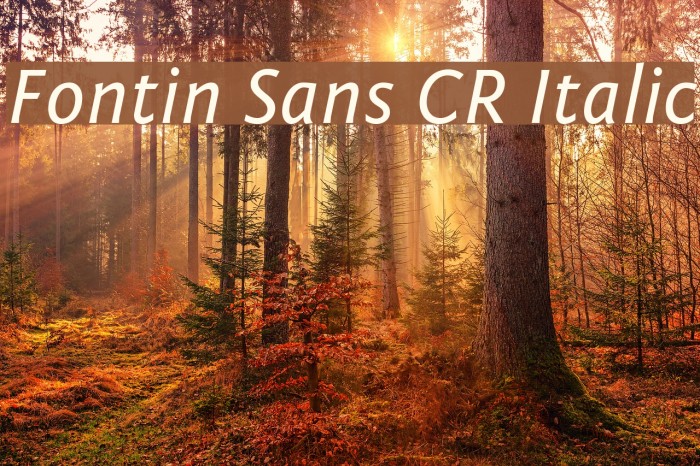 Fontin Sans CR Italic Font examples