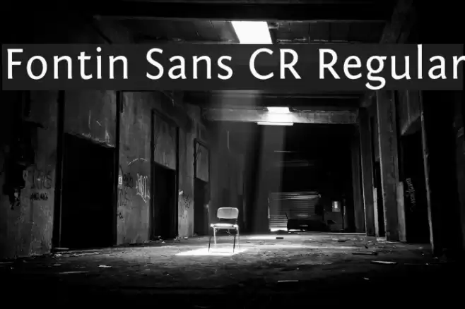 Fontin Sans CR Regular Font examples