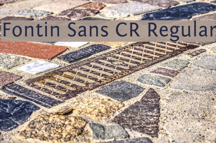 Fontin Sans CR Regular Font examples