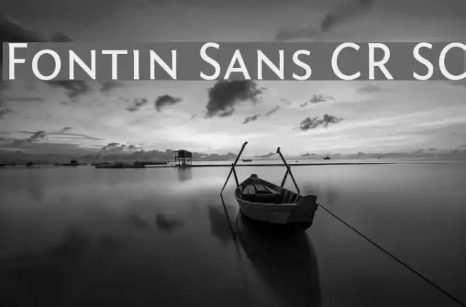 Fontin Sans CR SC Font examples