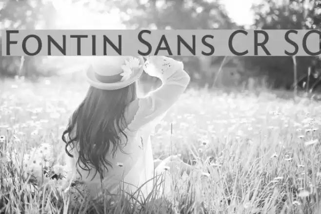 Fontin Sans CR SC Font examples