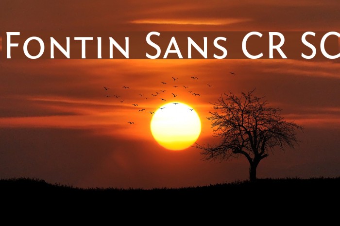 Fontin Sans CR SC Font examples
