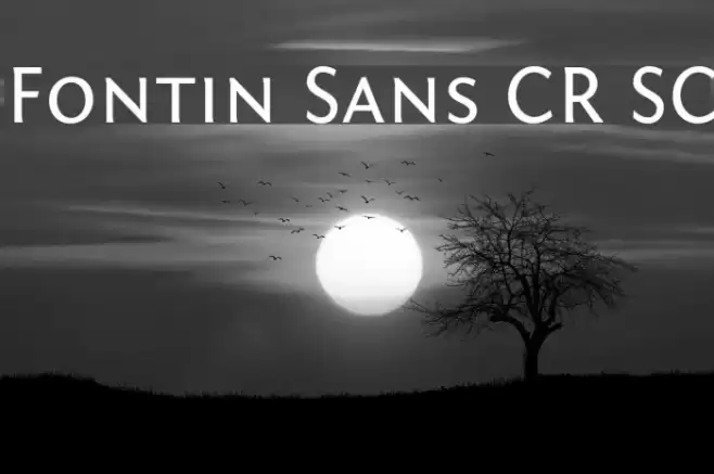 Fontin Sans CR SC Font examples
