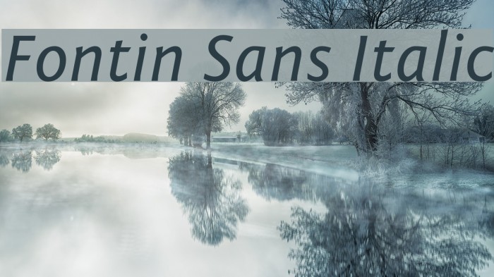 Fontin Sans Italic Font examples